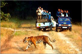 Kumarakom Sightseing