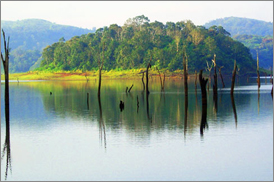 Kumarakom Sightseing