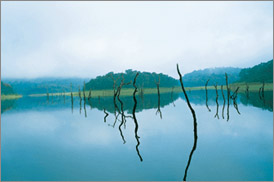 Kumarakom Sightseing