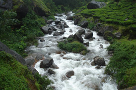 Kumarakom Sightseing