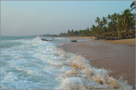 Kumarakom Sightseing