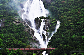 Kumarakom Sightseing