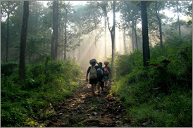 Kumarakom Sightseing