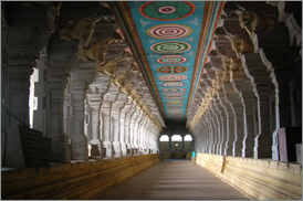 Kumarakom Sightseing