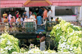 Kumarakom Sightseing