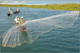 Kumarakom Sightseing