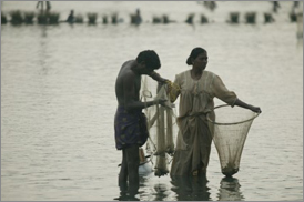 Kumarakom Sightseing