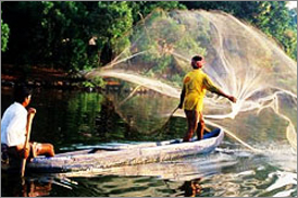 Kumarakom Sightseing