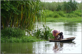 Kumarakom Sightseing