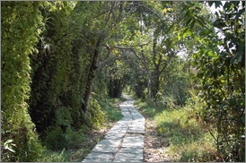 Kumarakom Sightseing