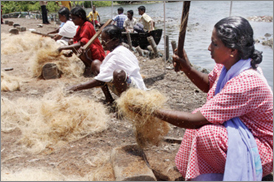 Kumarakom Sightseing