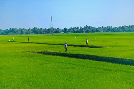 Kumarakom Sightseing