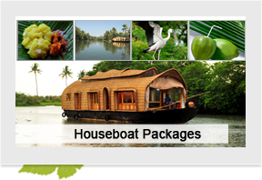 Houseboats