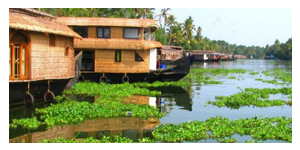 Kerala Houseboats