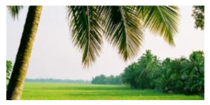 Kerala Houseboats