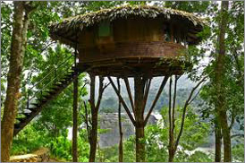 Kumarakom Sightseing